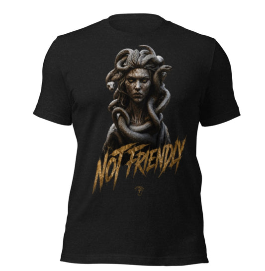 NOT FRIENDLY 2.0